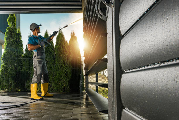 Best Local Pressure Washing Services  in Ecru, MS