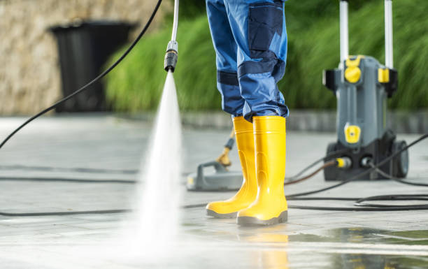 Best House Pressure Washing  in Ecru, MS